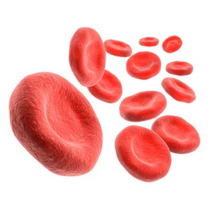 Hematology